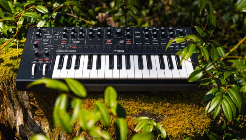 moog