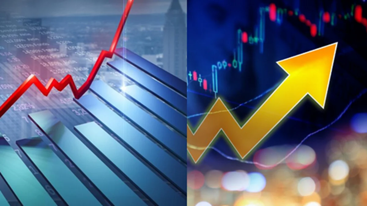 how to earn from share market