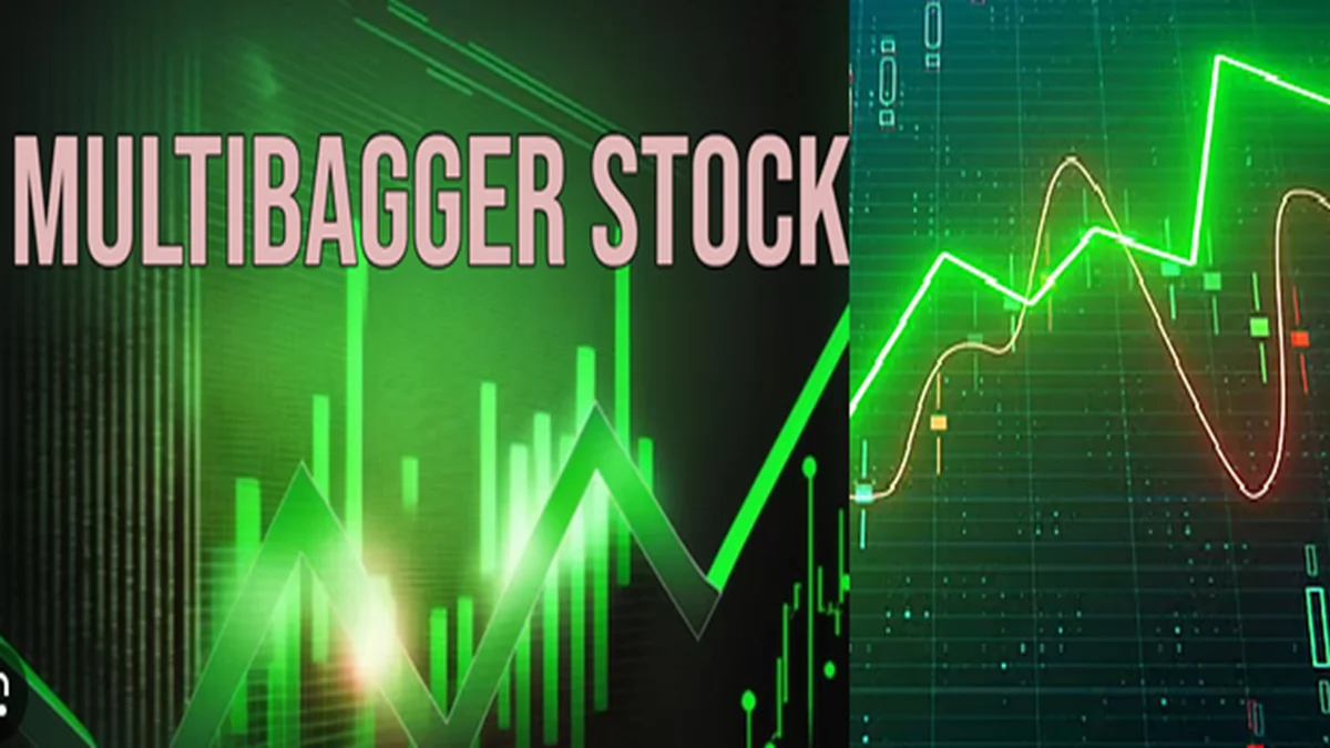 multibagger stock 2026